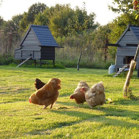 The Oaks Glamping - Magpie Half Shepherds Hut Hotel Colkirk Exterior photo