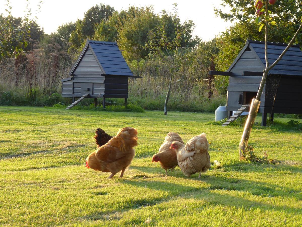 The Oaks Glamping - Magpie Half Shepherds Hut Hotel Colkirk Exterior photo